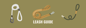 What is the Best Dog Leash Material in Australia? Rope vs Nylon vs Biothane vs Leather